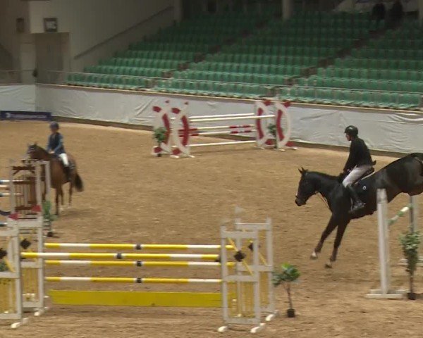 Reitturnier Kreuth/Opf. 2024