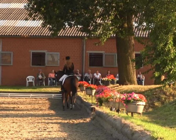 Datteln 2013