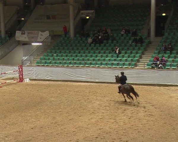 Reitturnier Kreuth/Opf. 2024