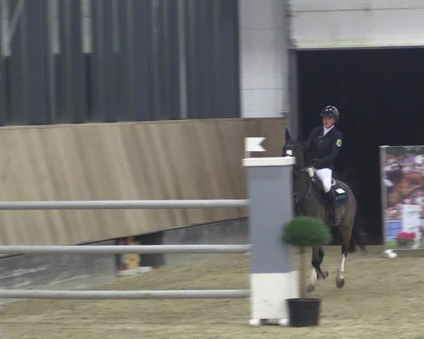 Reitturnier Zwickau 2024