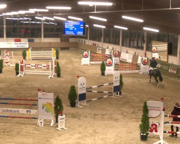 Reitturnier Oelde 2024