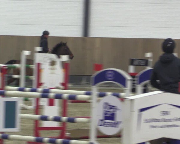 Reitturnier Zwickau 2024