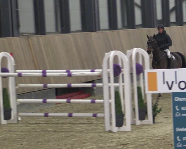 Reitturnier Zwickau 2024