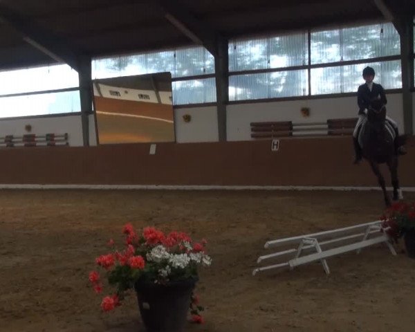 Reitturnier Datteln 2013