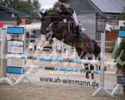 broodmare Top Balina (German Riding Pony, 2009, from Top Balino)