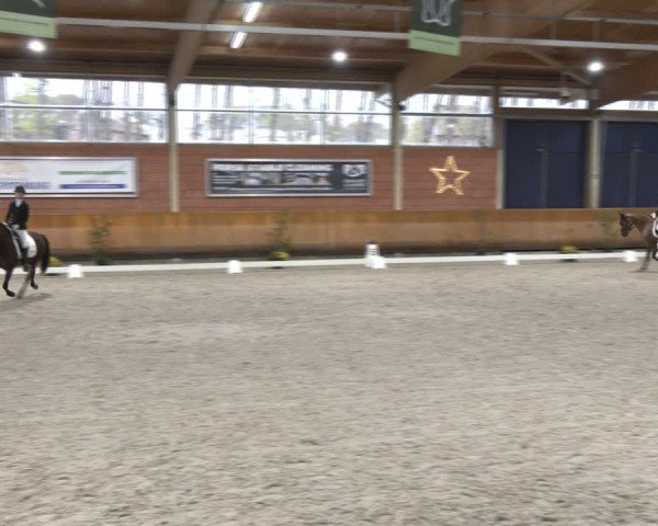 Reitturnier Mönchengladbach - Schloss Wickrath 2024