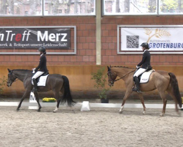 Reitturnier Mönchengladbach - Schloss Wickrath 2024
