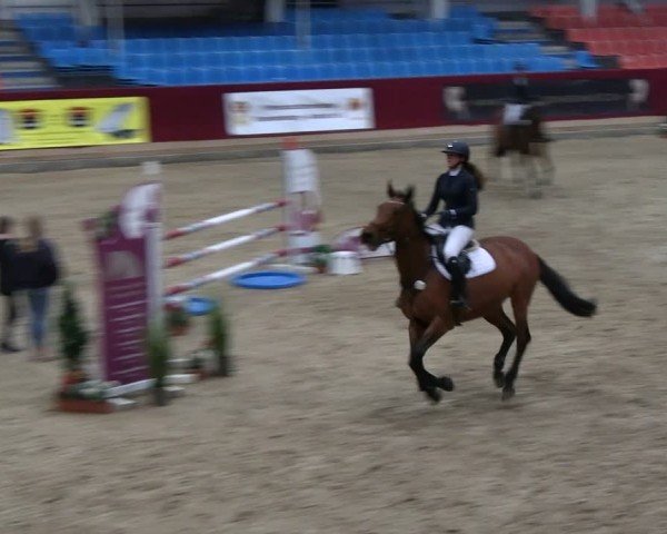 Reitturnier Neustadt/Dosse - Graf von Lindenau-Halle 2024