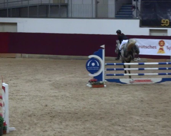 Reitturnier Neustadt/Dosse - Graf von Lindenau-Halle 2024