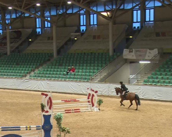 Reitturnier Kreuth/Opf. 2024