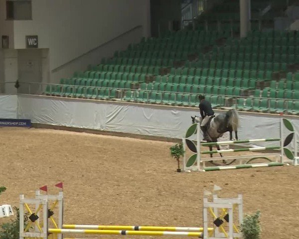 Reitturnier Kreuth/Opf. 2024
