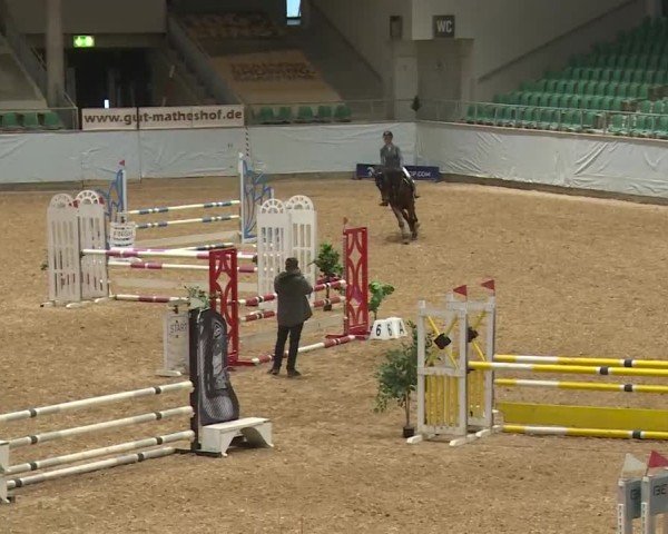 Reitturnier Kreuth/Opf. 2024