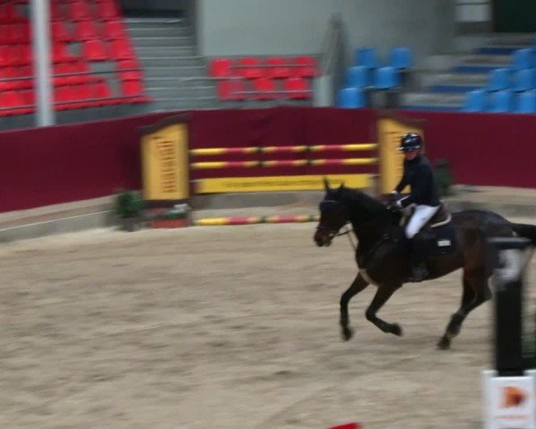 Reitturnier Neustadt/Dosse - Graf von Lindenau-Halle 2024