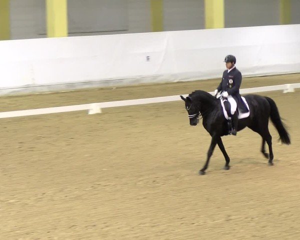 Reitturnier Stadl-Paura 2024