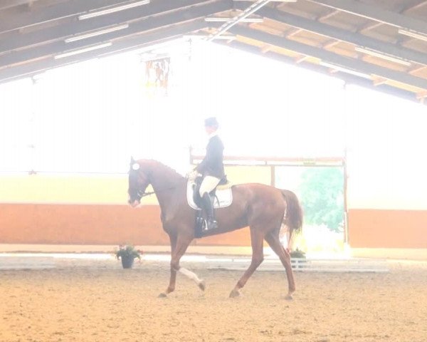 Datteln 2013