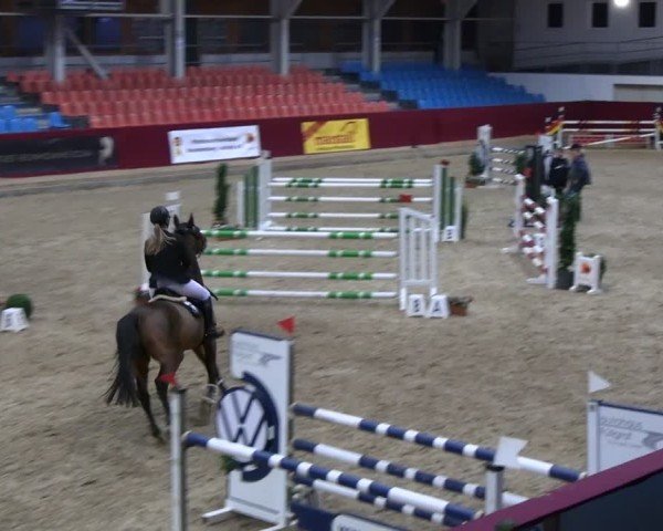 Reitturnier Neustadt/Dosse - Graf von Lindenau-Halle 2024