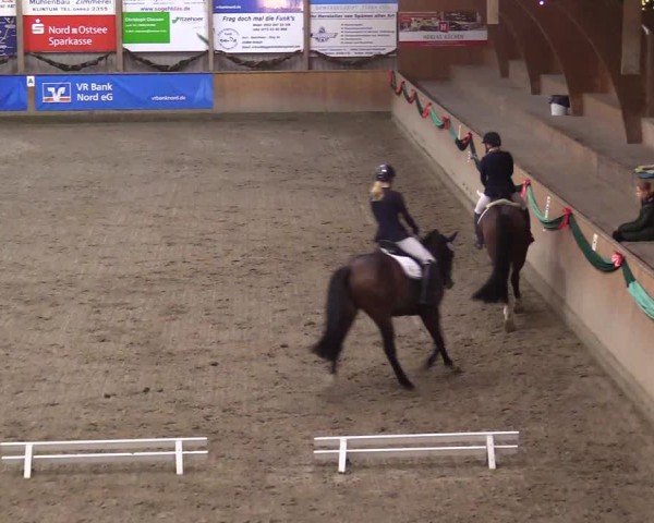 Reitturnier Leck 2024