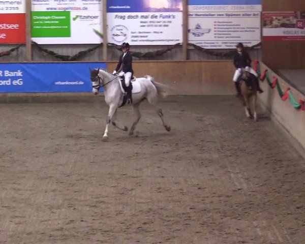 Reitturnier Leck 2024