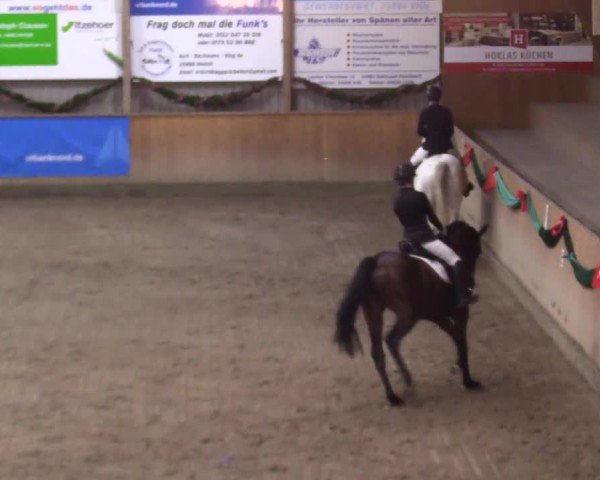 Reitturnier Leck 2024