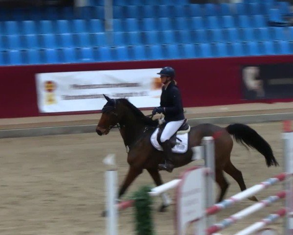 Reitturnier Neustadt/Dosse - Graf von Lindenau-Halle 2024