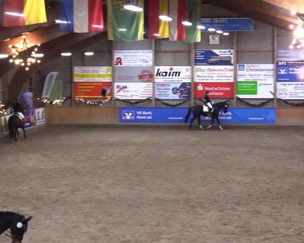 Reitturnier Leck 2024