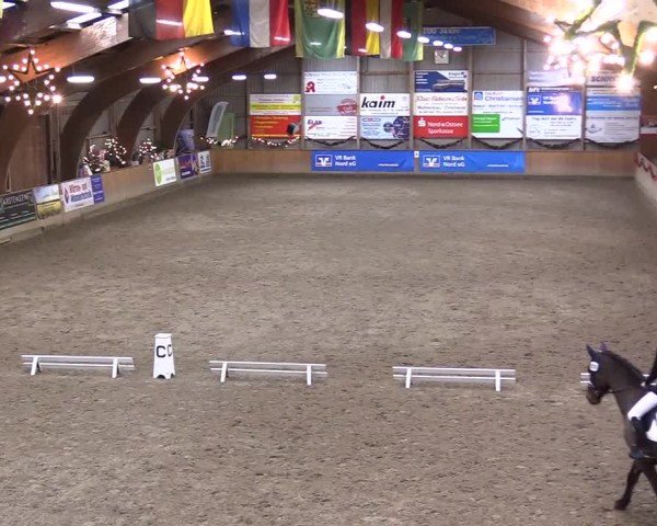 Reitturnier Leck 2024