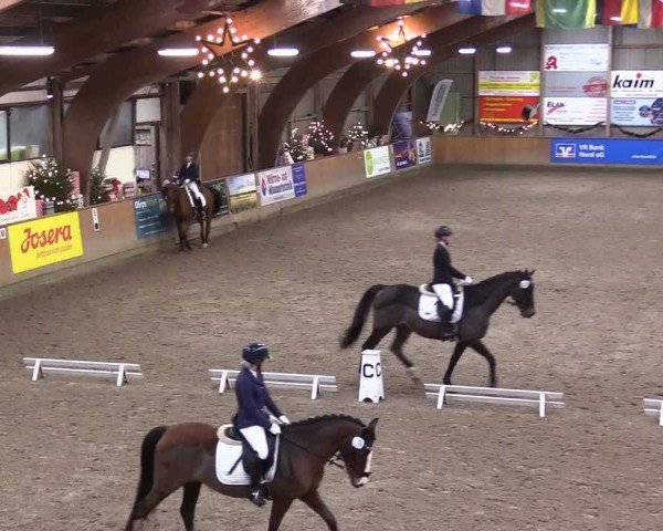 Reitturnier Leck 2024