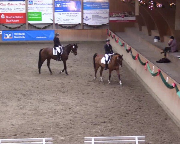 Reitturnier Leck 2024