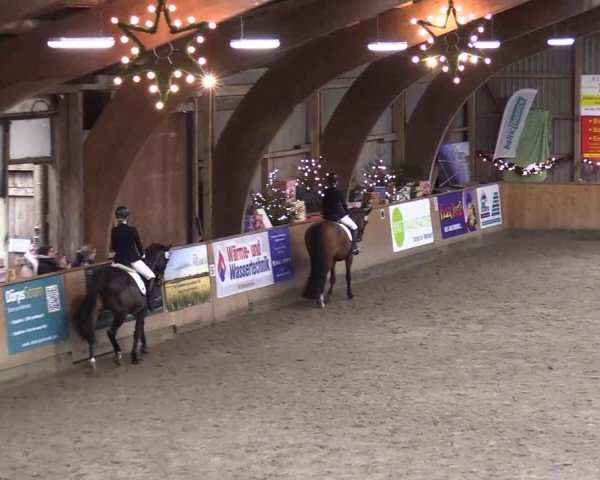 Reitturnier Leck 2024