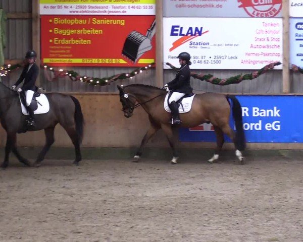 Reitturnier Leck 2024