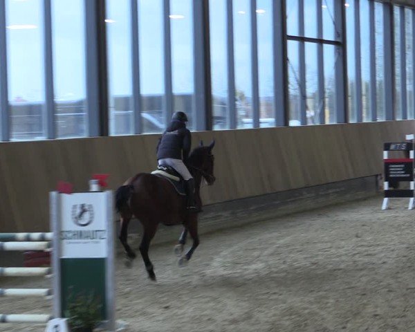 Reitturnier Zwickau 2024