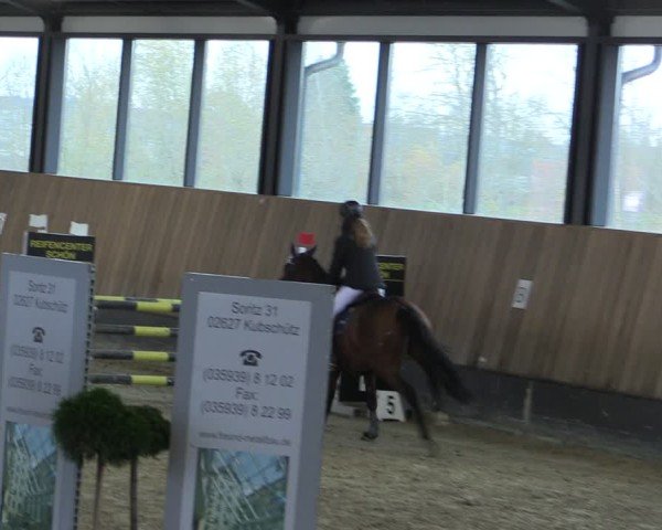 Reitturnier Zwickau 2024