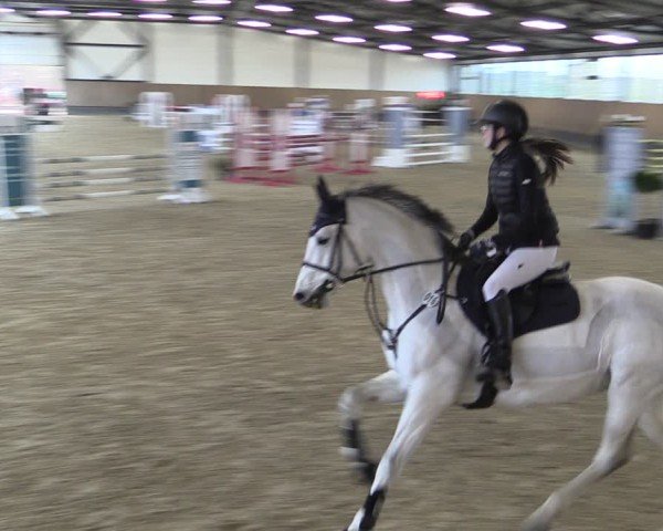 Reitturnier Zwickau 2024