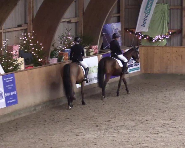 Reitturnier Leck 2024