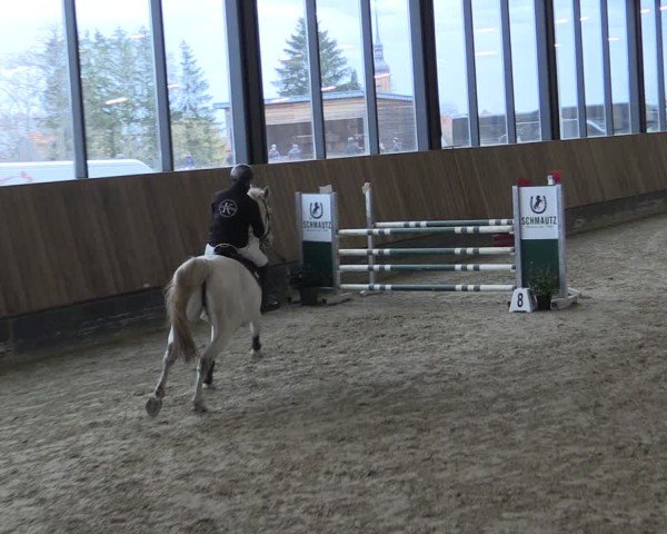 Reitturnier Zwickau 2024