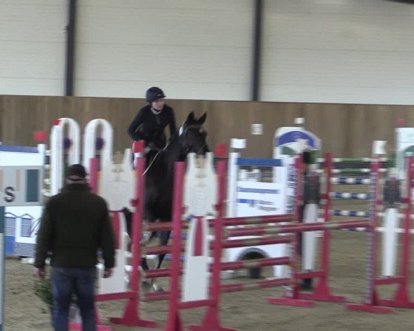 Reitturnier Zwickau 2024