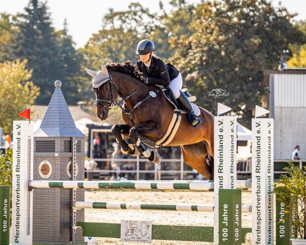 jumper Cocco Chanell (Rhinelander, 2013, from Clarimo Ask)