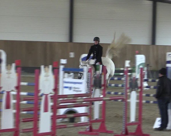 Reitturnier Zwickau 2024