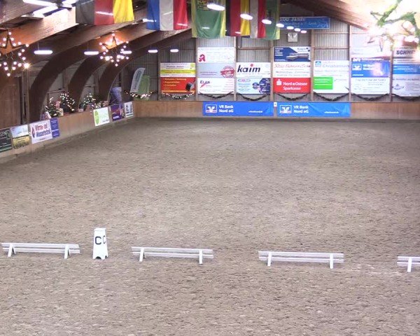Reitturnier Leck 2024