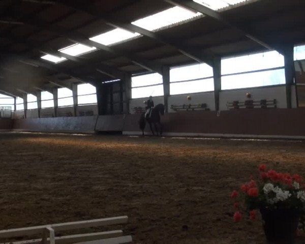 Datteln 2013