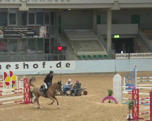 Reitturnier Kreuth/Opf. 2024