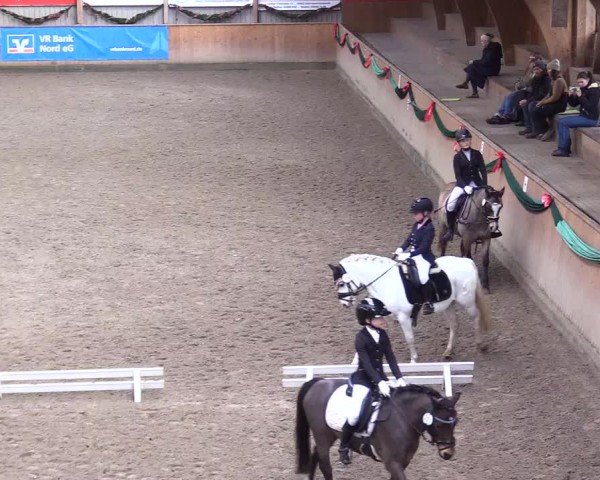 Reitturnier Leck 2024