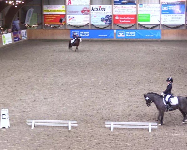 Reitturnier Leck 2024