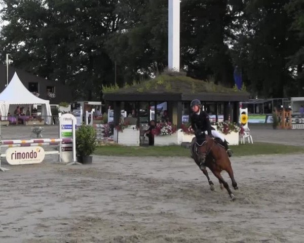 Datteln 2013