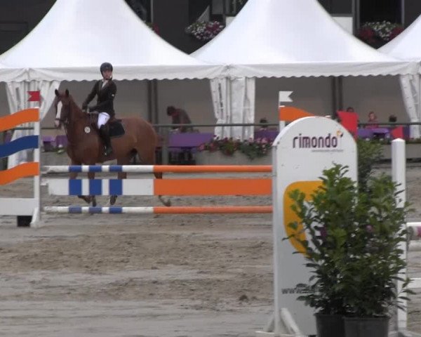 Datteln 2013