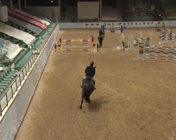 Reitturnier Kreuth/Opf. 2024