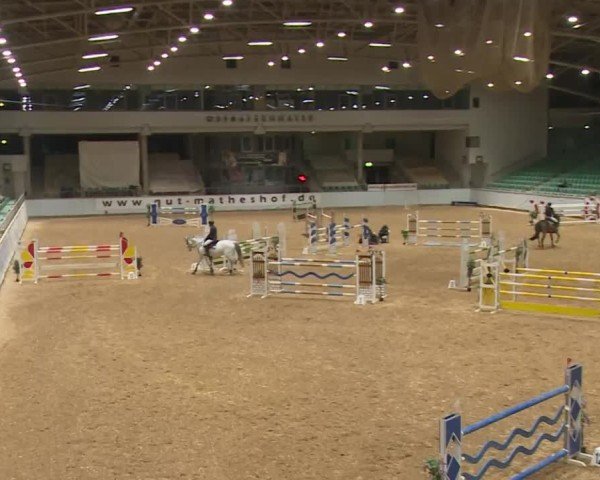 Reitturnier Kreuth/Opf. 2024