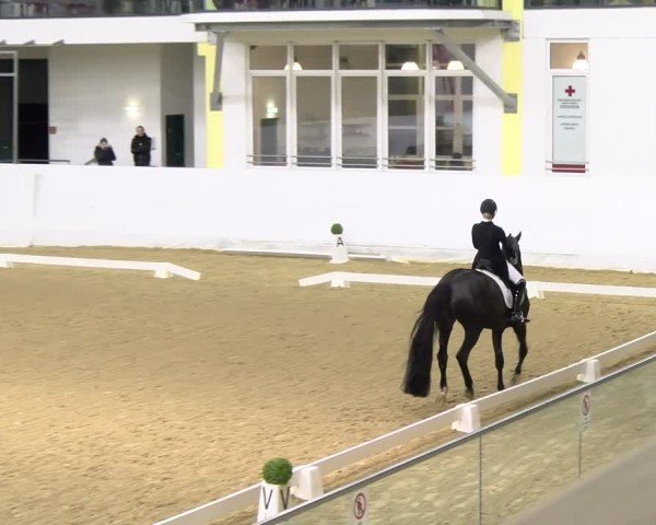 Reitturnier Stadl-Paura 2024