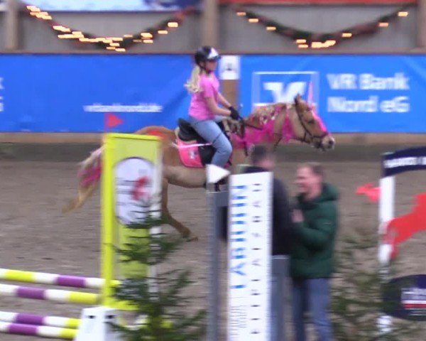 Reitturnier Leck 2024