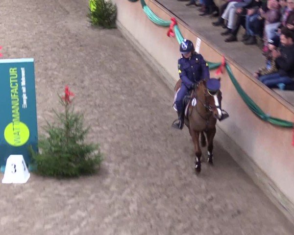 Reitturnier Leck 2024